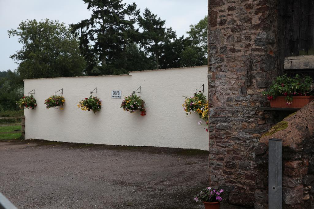 Bed and Breakfast Weir Mill Farm Cullompton Exterior foto